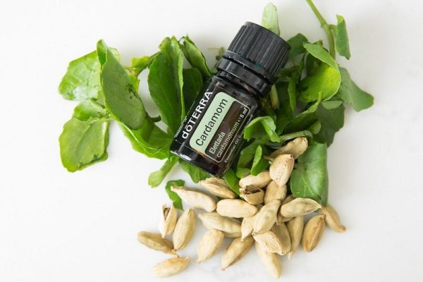 Cardamom 5 mlCardamom 5 mlCardamom 5 ml Cardamom 5 ml
Cardamom 5 ml
Cardamom 5 ml