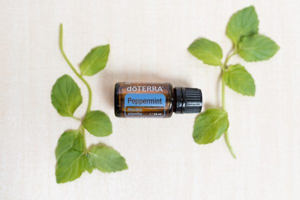 Peppermint 15 mlPeppermint 15 mlPeppermint 15 ml Peppermint 15 ml
Peppermint 15 ml
Peppermint 15 ml