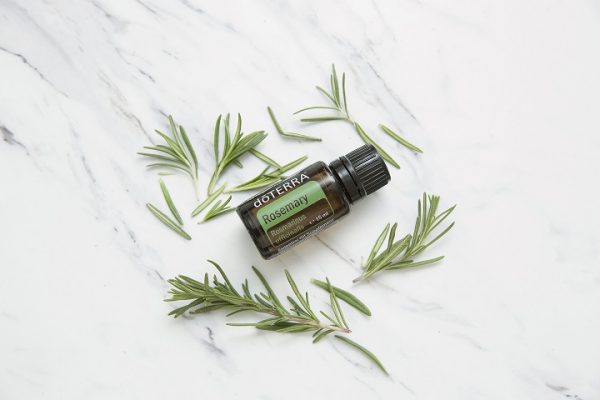 Rosemary 15 mlRosemary 15 mlRosemary 15 ml Rosemary 15 ml
Rosemary 15 ml
Rosemary 15 ml